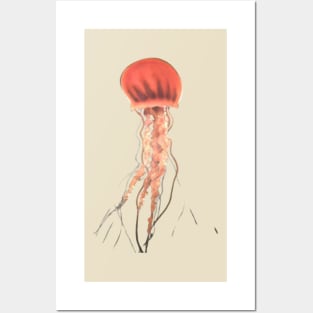 Jellyfish Photo Posters and Art